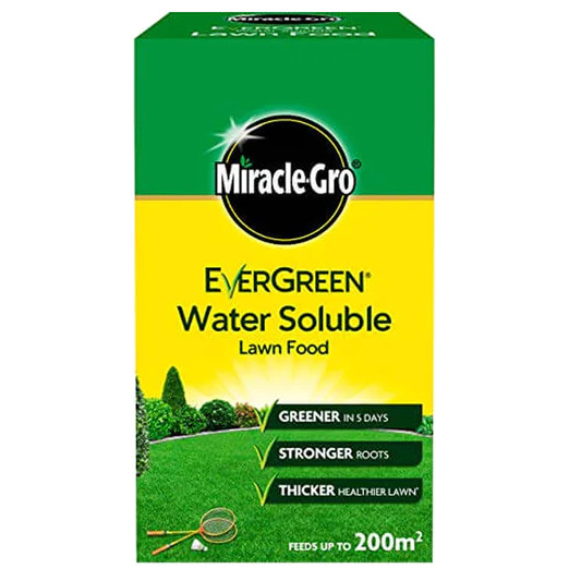 Evergreen Soluble Lawn Food 1kg